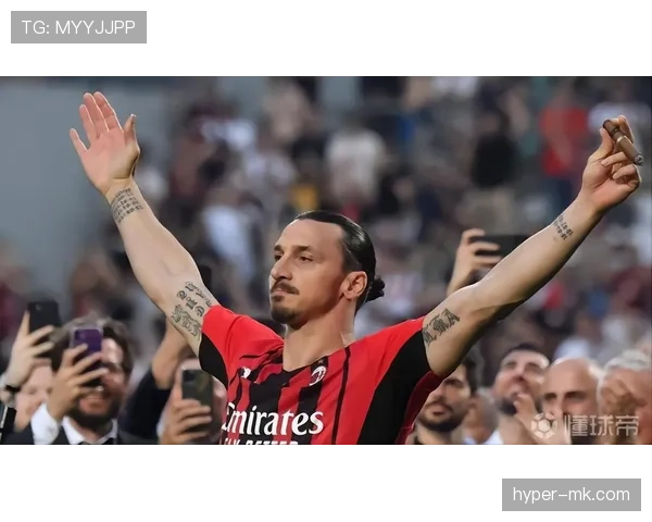 伊布前锋价值 伊布前锋价值